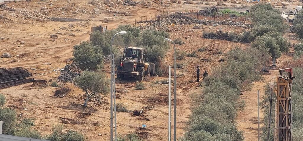 مستوطنون يهاجمون قاطفي الزيتون في ترمسعيا شمال رام الله